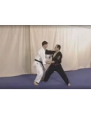 Техника Джуко-Рю Дзю-Дзюцу