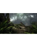 Vendetta-Curse of Raven's Cry Deluxe Edition STEAM