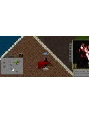 Ultima online - Olmer online 