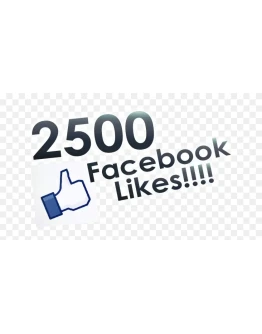 2500 Лайков на страницу FACEBOOK для Бизнеса