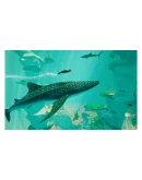 ABZU XBOX ONE / XBOX SERIES XS Игровой Ключ Код