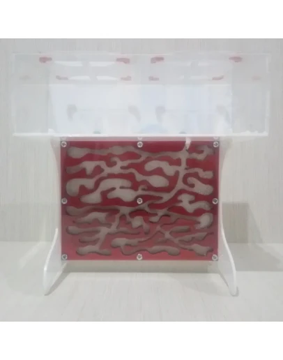 Макет (чертеж) верт. формикария с большой ареной