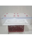 Макет (чертеж) верт. формикария с большой ареной