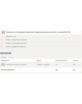 Практика Синергия Менеджмент (Предпринимательство) Практика Синергия Менеджмент (Предпринимательство)