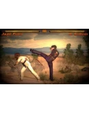 Kings of Kung Fu (Steam Key/Region Free)