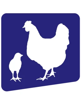 NovinFarm Poultry Manager Software (Parent System)
