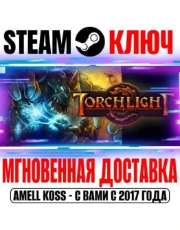 Torchlight 1 Steam Ключ РФ+Мир +Бонус