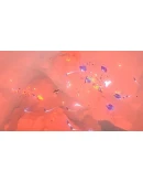 Furious Angels SteamРФ+Весь МирKey + Бонус