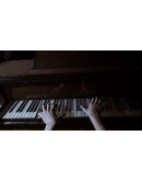 Silver Chains (Steam key / РФ+Весь Мир)