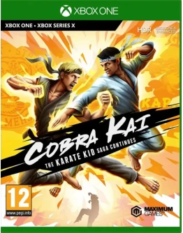 Cobra Kai The Karate Kid Saga Continues Xbox one