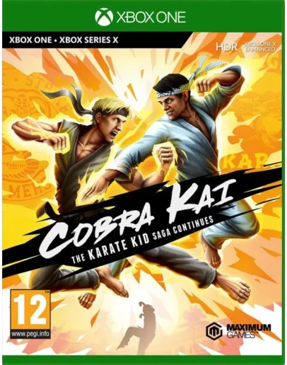Cobra Kai The Karate Kid Saga Continues Xbox one