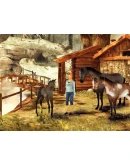 Petz Horsez 2 (Steam Gift Region Free / ROW)