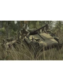 Call of Duty: World at War (Steam Gift Россия)