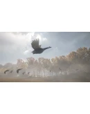 theHunter: Call of the Wild - Wild Goose Chase Gear RU