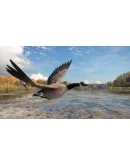 theHunter: Call of the Wild - Wild Goose Chase Gear RU