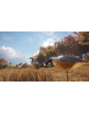 theHunter: Call of the Wild - Wild Goose Chase Gear RU