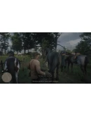 Red Dead Redemption 2 (Steam Gift Россия)
