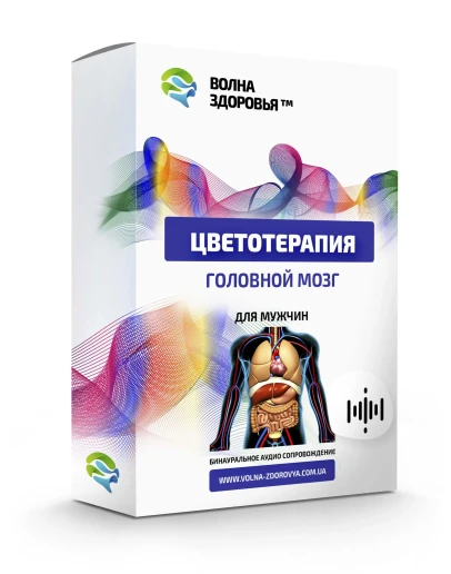 Цветотерапия - Головной мозг. Для мужчин Цветотерапия - Головной мозг. Для мужчин