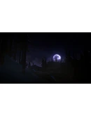 The Long Dark STEAMRU АВТОДОСТАВКА 0