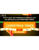 The Jackbox Party Pack 4 (Steam Gift Россия)