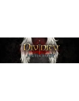 Divinity Anthology (Steam Gift Россия)