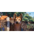 Planet Zoo: Australia Pack (Steam Gift Россия)