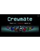 Among Us (Steam Gift Россия)