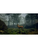 Folklore Hunter Steam Region Free