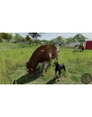 Professional Farmer: American Dream XBOX Ключ