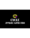 Tyranny Gold Edition Epic Games аккаунт