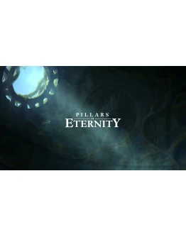 Pillars of Eternity аккаунт Epic Games
