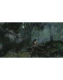 TOMB RAIDER: DEFINITIVE EDITION XBOX ONE, XSКЛЮЧ