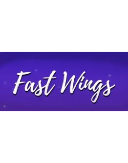 Fast Wings (Steam key/Region free)