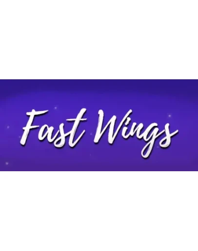Fast Wings (Steam key/Region free) Fast Wings (Steam key/Region free)