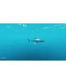 Stranded Deep Epic Games GLOBAL АВТОВЫДАЧА 24/7