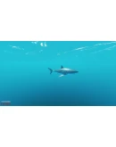 Stranded Deep + 8 ИГР EPIC GAMESПОЛНЫЙ ДОСТУП + БОНУС