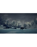 THE LONG DARKSTEAM АККАУНТ + ИГРЫ