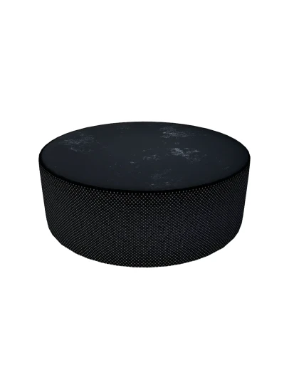 Хоккейная шайба