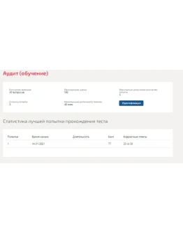 Аудит.Тест Синергия 2021г.