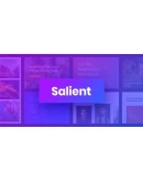 Salient 17.3.0 - Русификация премиум темы