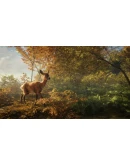 theHunter: Call of the Wild XBOX Игровой Ключ