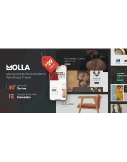 Molla 1.4.0 - Русификация премиум темы