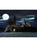 LEGO Harry Potter: Years 1-4 (Steam Ключ / Global)