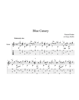 Blue canary - для гитары