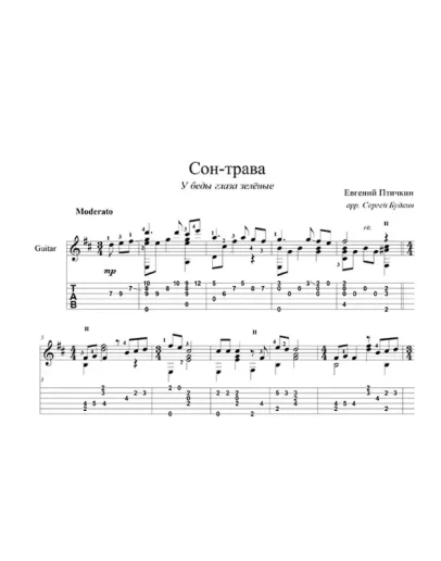 Сон трава (У беды глаза зеленые) - для гитары