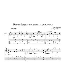 Вечер бродит по лесным дорожкам - на гитаре