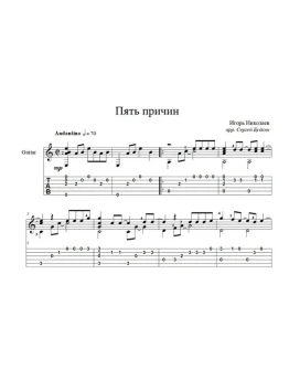 Пять причин (Игорь Николаев) для гитары