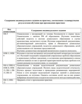 Ознакомительная практика Синергия ППО_ПиПДО