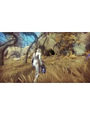 GRAV (Steam Gift Region Free / ROW)