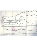 Папка Меркулова